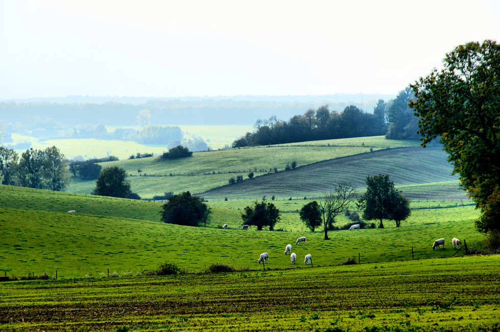 Bossus-lès-Rumigny